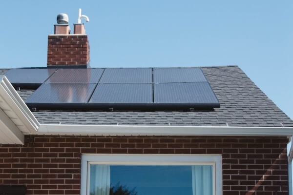 PEST CONTROL ROYSTON, Hertfordshire. Services: Solar Panel Bird Proofing. Defend Your Solar Panels Against Avian Threats with Local Pest Control Ltd's Specialized Bird Proofing Services in Royston